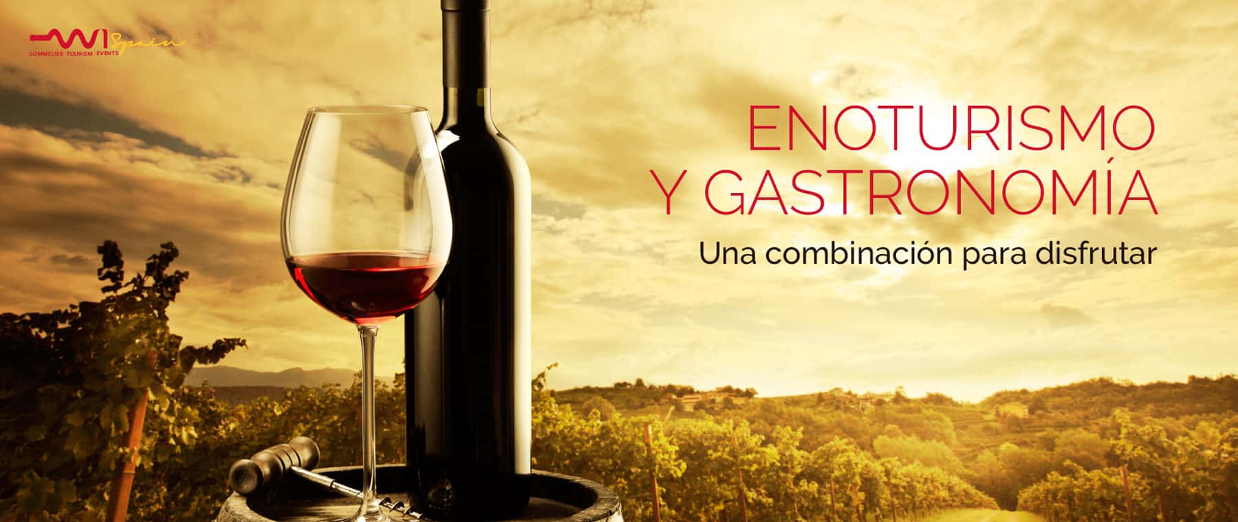 Inicio - Wine Tasting Spain