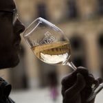 Catas de vinos con Wine Tasting Spain