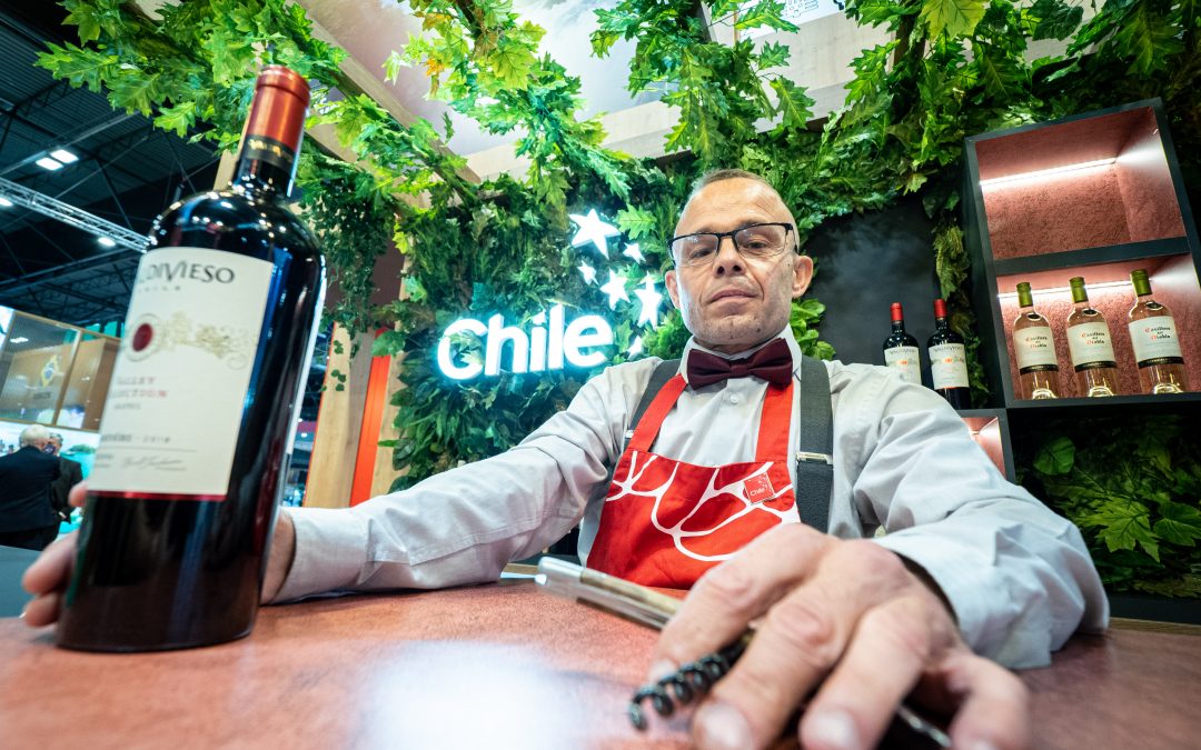 Catas de Vino